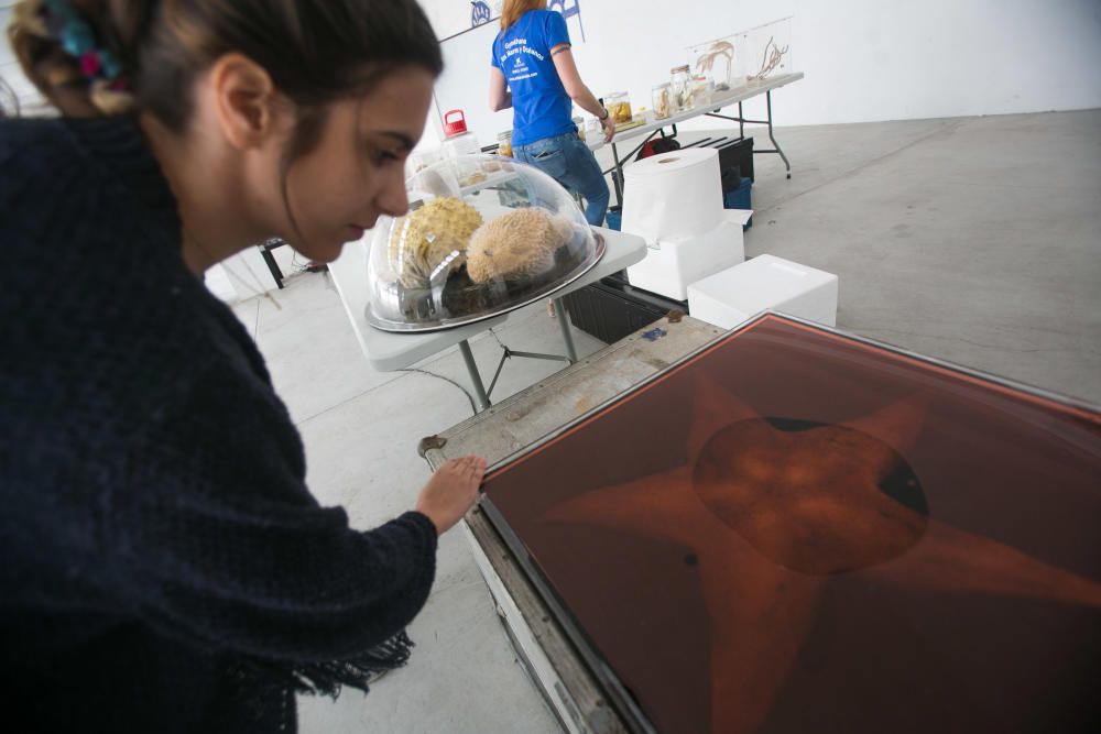 Talleres de sobre el mar en las Cigarreras