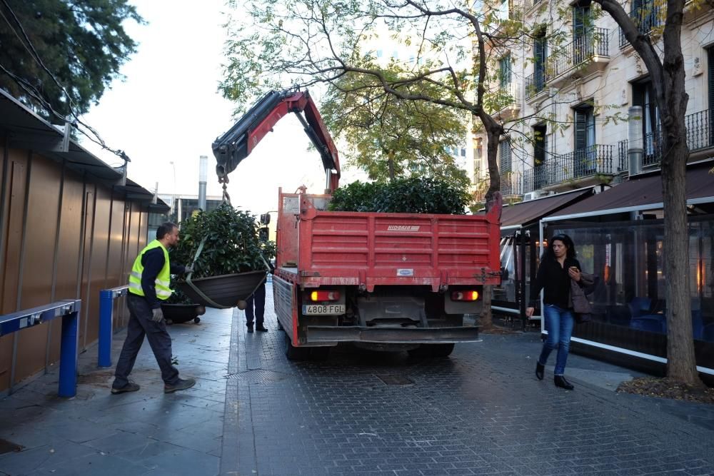 Colocan barreras para impedir el tráfico en Plaza de España y es Born