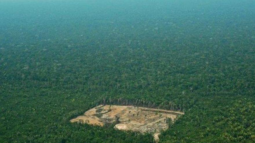 Brasil lanza la operación &quot;Amazonía Soberana&quot; contra la deforestación