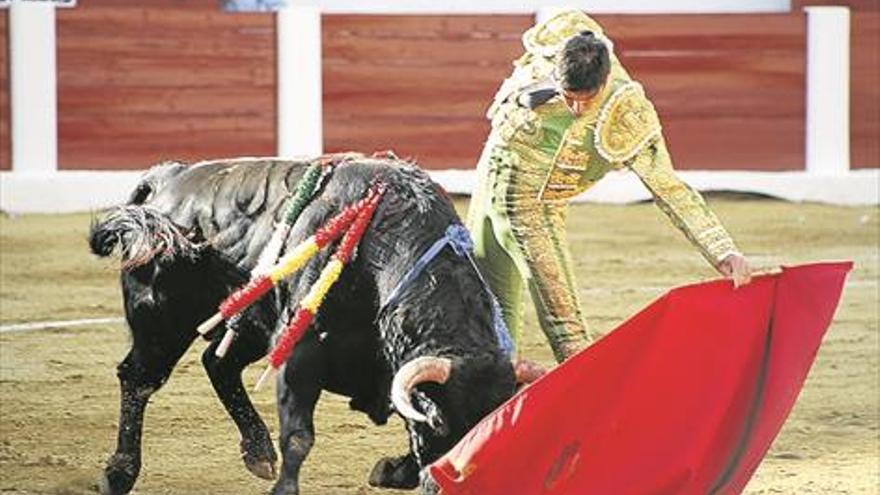 El juez de Cáceres admite la demanda del PP por la supresión de las ayudas a los toros