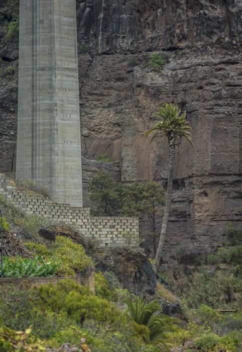 Barranco Guiniguada, en Las Palmas de Gran Canaria