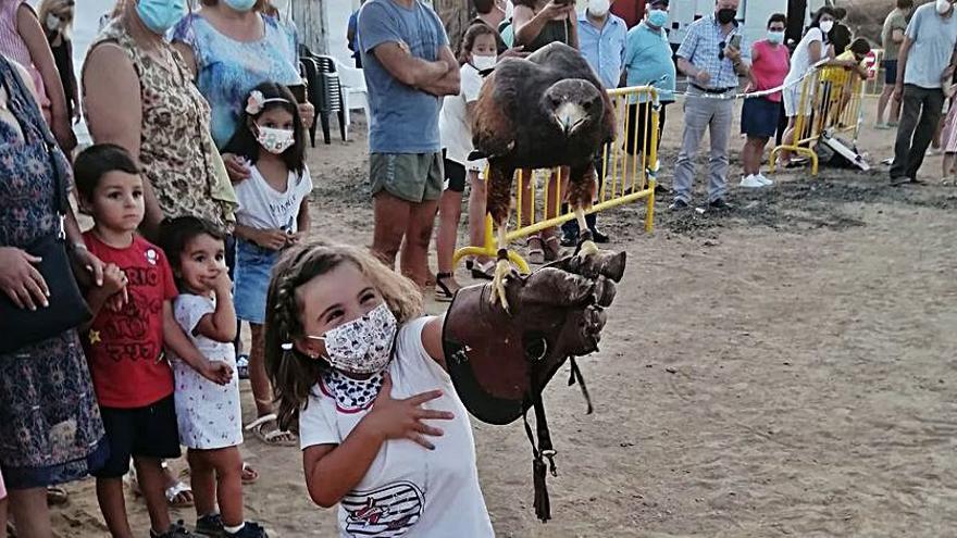 Una niña mantiene en su brazo una de las aves del espectáculo. | Cedida