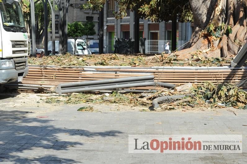 El día después de la caída de la rama del ficus de