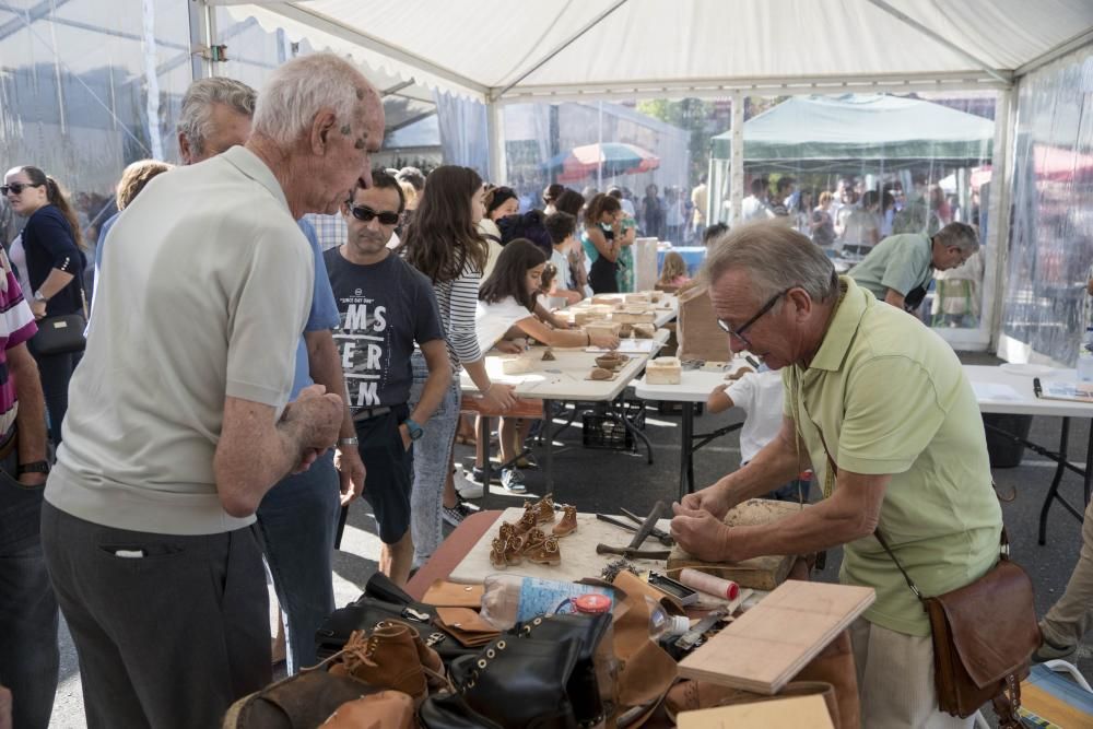 La Festa da Sidra de la parroquia viguesa rompe todas la previsiones, con más de 5.000 asistentes, 1.200 litros del brebaje despachados y 6.000 botellas vendidas. El ANPA Bene Vivere, manzana de oro.