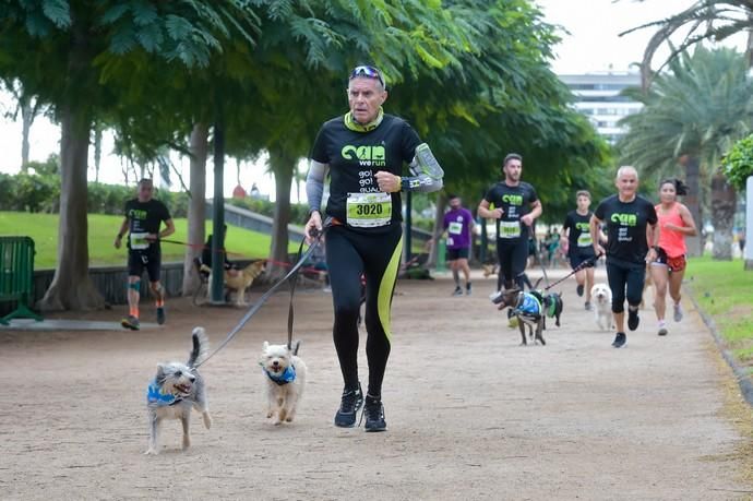 14-12-2019 LAS PALMAS DE GRAN CANARIA. Carrera de perros Can We Run, en el Parque Romano. Fotógrafo: ANDRES CRUZ  | 14/12/2019 | Fotógrafo: Andrés Cruz