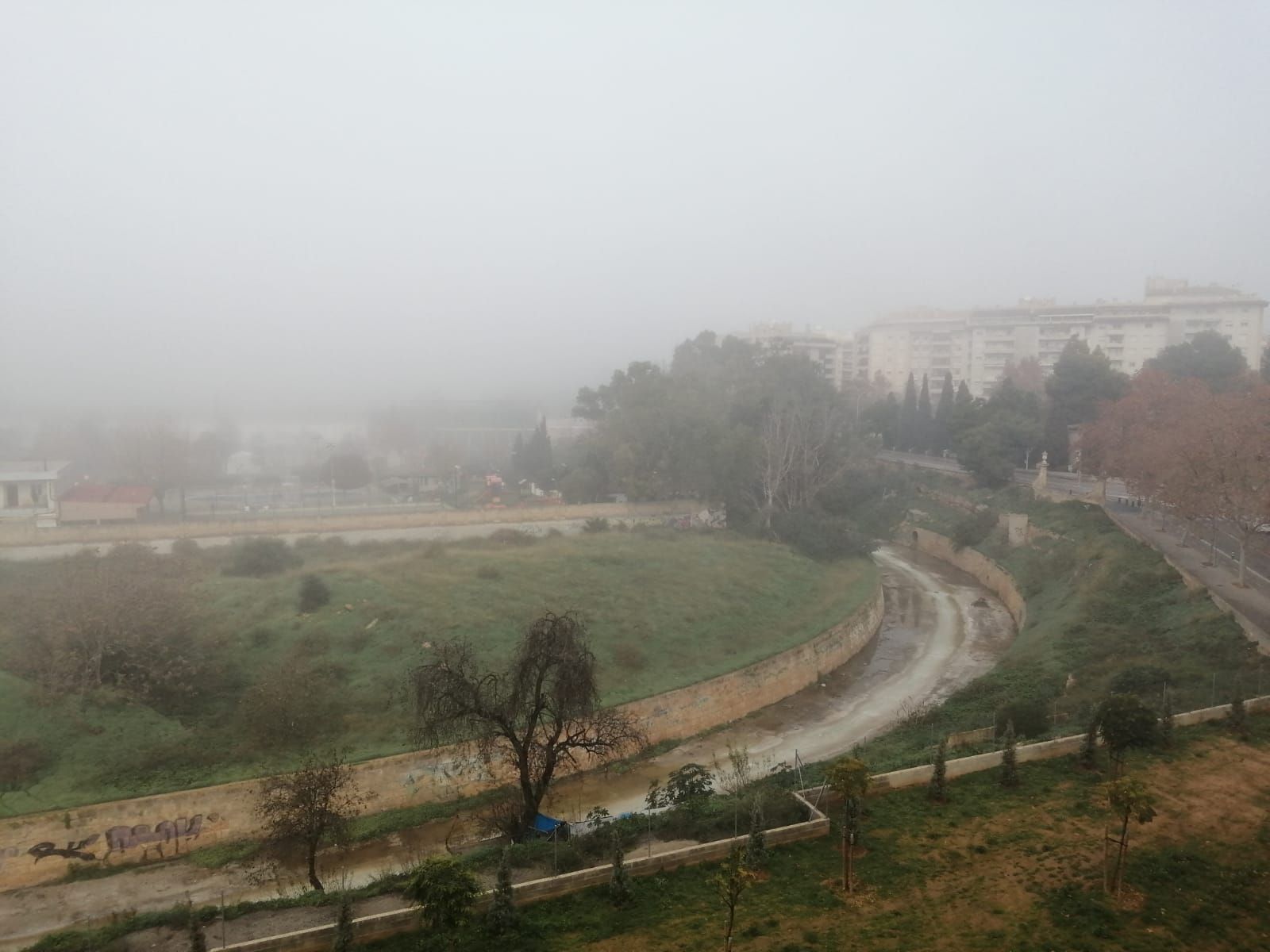 Nebel auf Mallorca: So sah es in Palma und Pòrtol am Mittwochmorgen aus