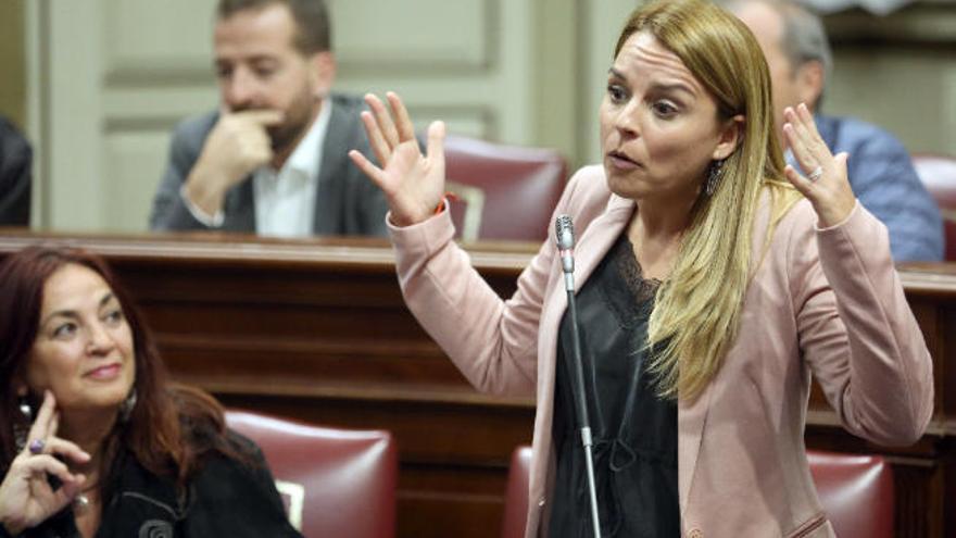 La consejera de Derechos Sociales, Noemí Santana, en el Parlamento.