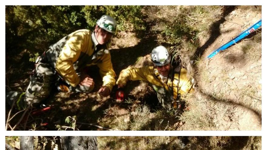 Els Rurals rescaten a Guixers dues ovelles que havien caigut en un forat de 12 metres