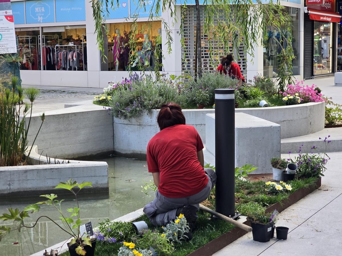 Los operarios municipales se encargan esta mañana de recuperar los deteriorados jardines de la peatonalizada calle de Arzobispo Lago, en Vilagarcía.