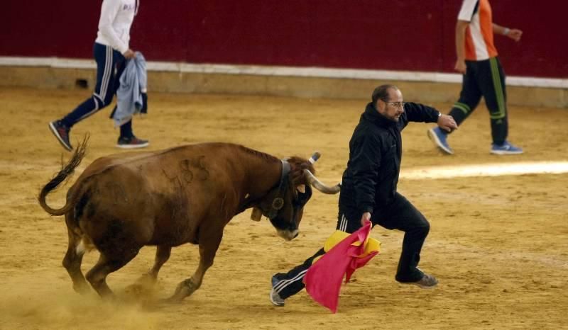 Suelta de vaquillas