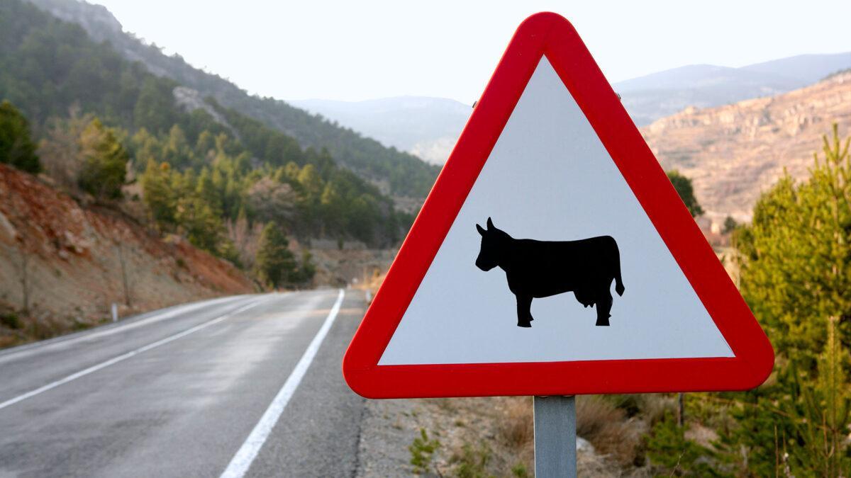 Señal de alerta de la posibilidad del cruce de animales sueltos en la carretera