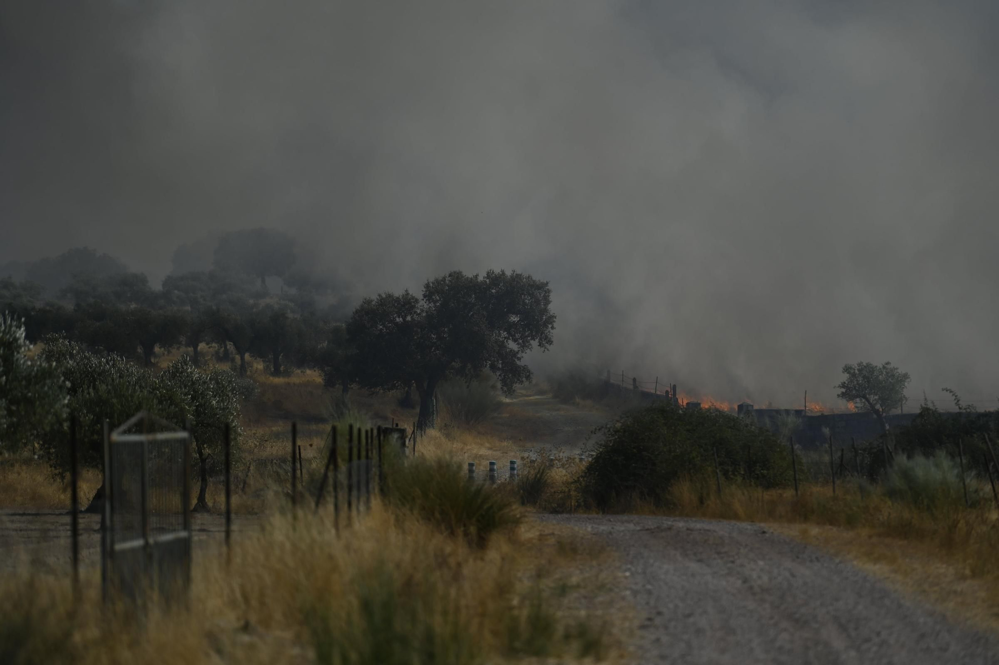 Así se está desarrollando el incendio de nivel 1 entre Arroyomolinos y Alcuéscar