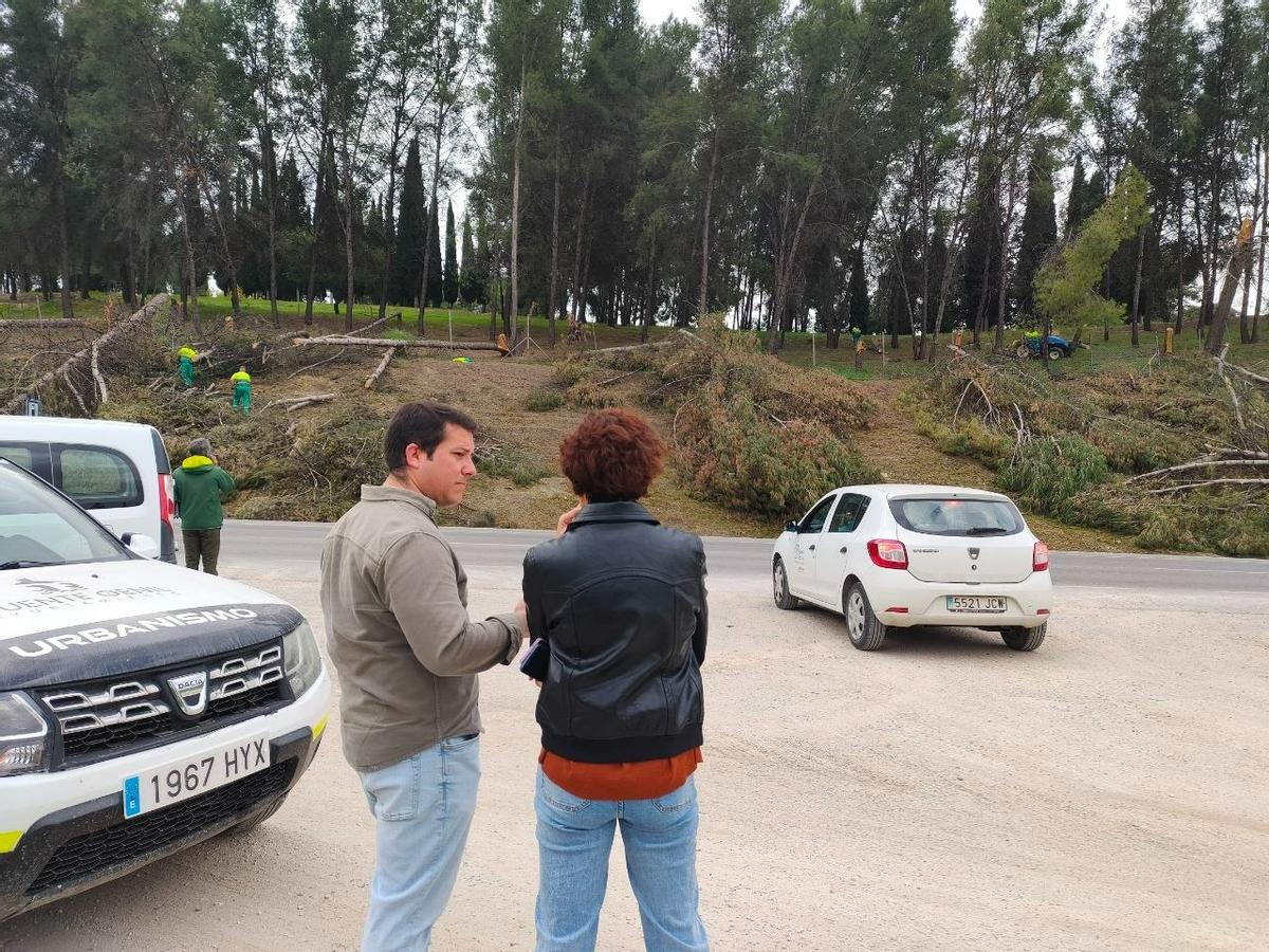 Trabajos de retirada de árboles en el parque del Garrotalillo.