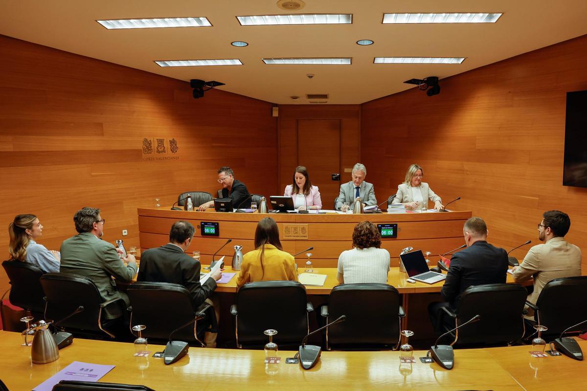 Comisión de investigación de Les Naus en las Cortes Valencianas.