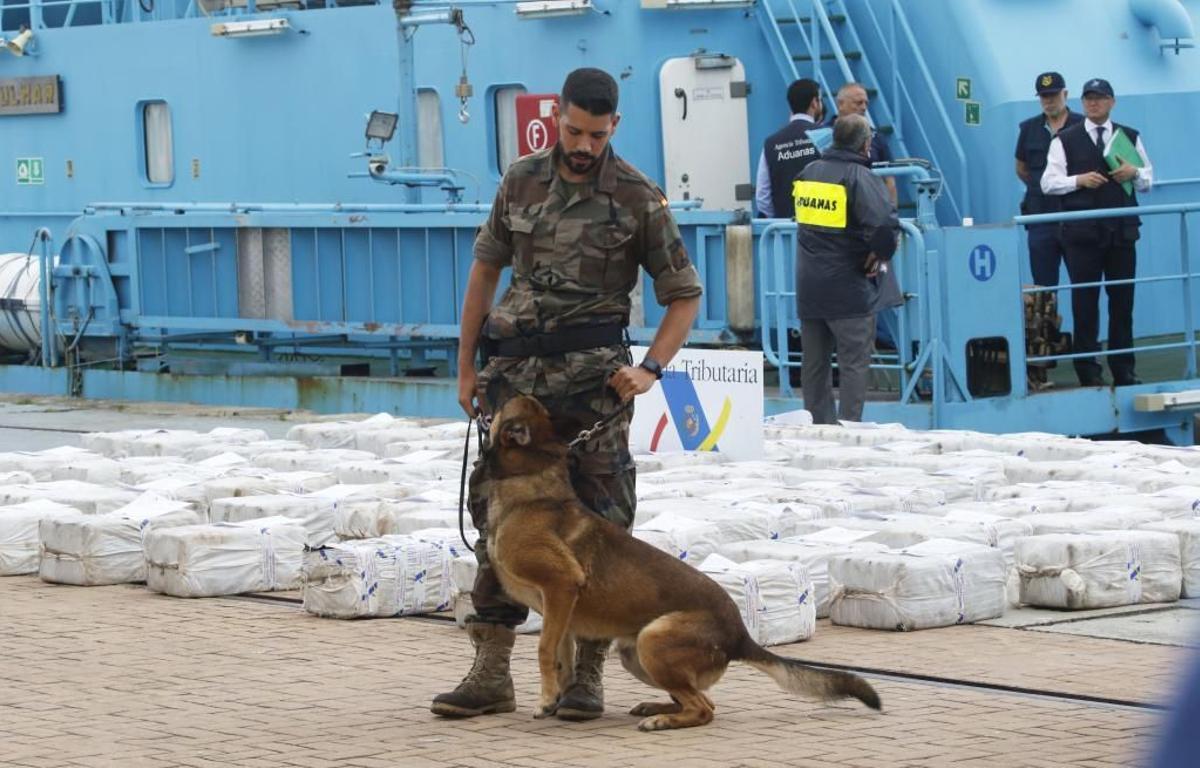 Fardos de cocaína descargados en el Puerto de Vigo en 2019.