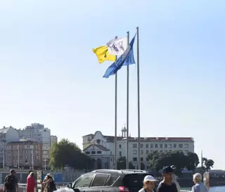 Bañistas sufren picaduras de medusas en las playas de A Coruña y Arteixo