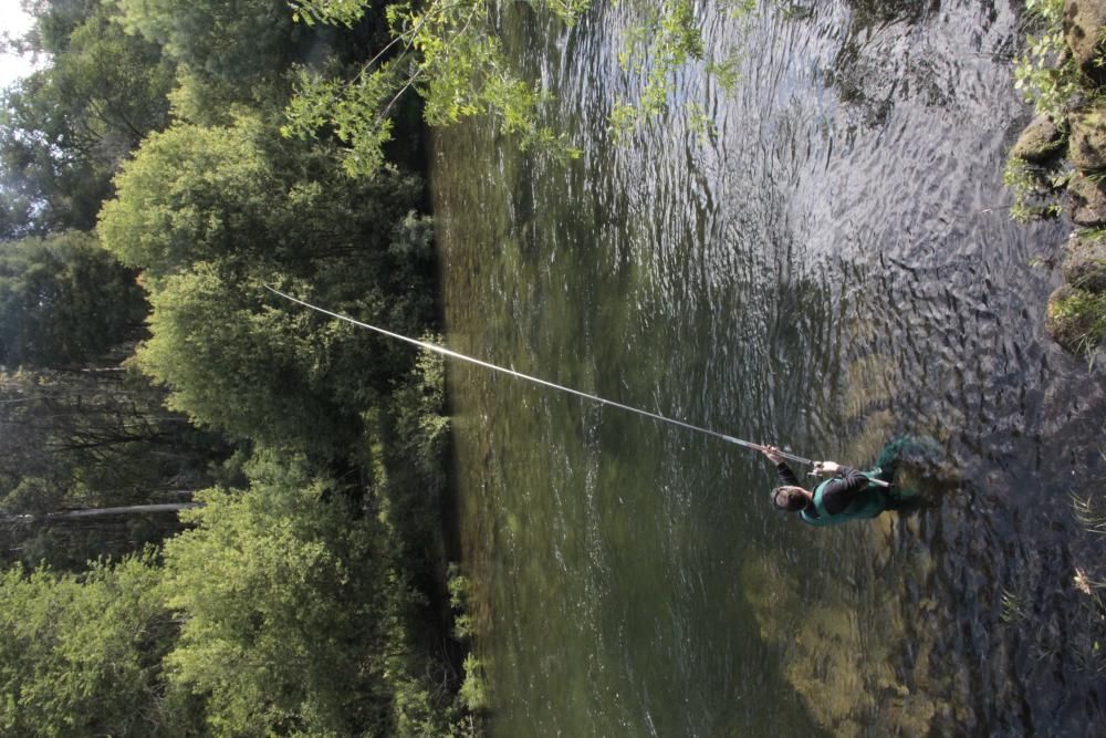 El salmón no pica en el Lérez