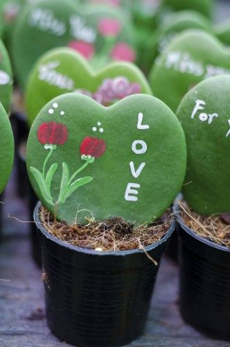 Decoración para San Valentín