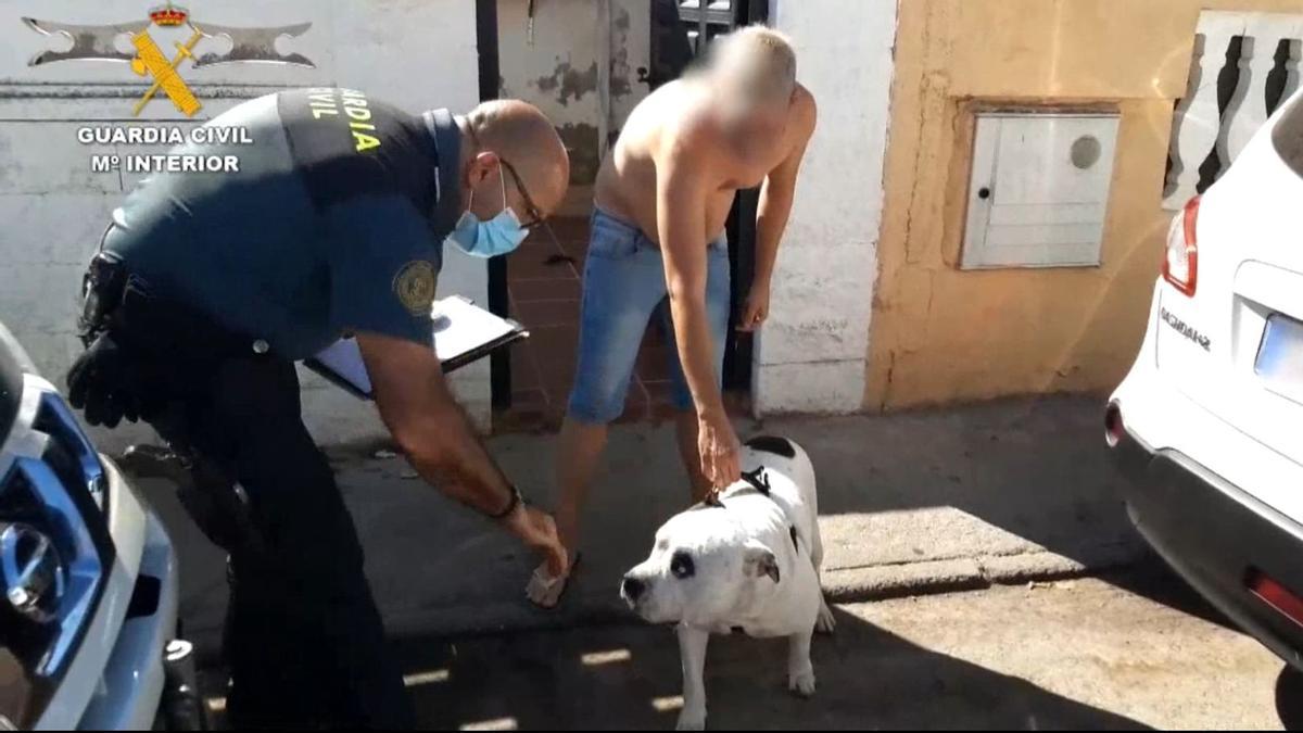 Dos detenidos por matar y maltrato a perros en guardería de El Álamo (Madrid)