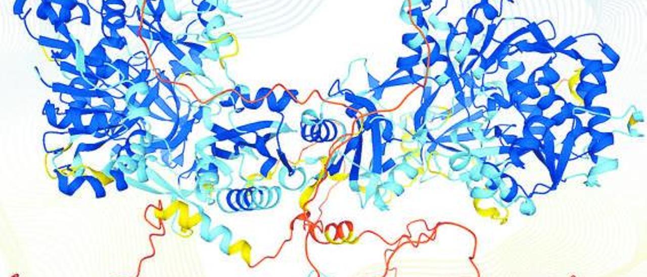 Estructuras de proteínas reveladas por el sistema de inteligencia artificial.