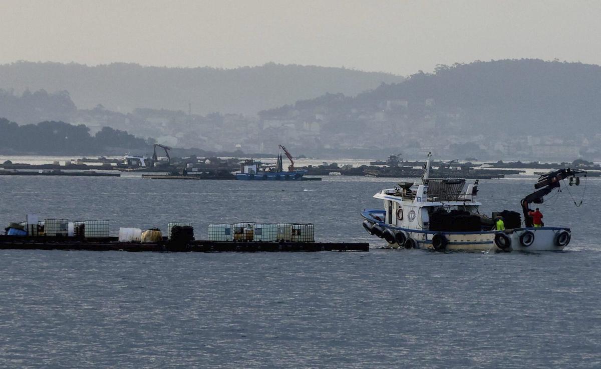Bateas y barcos auxiliares de acuicultura.