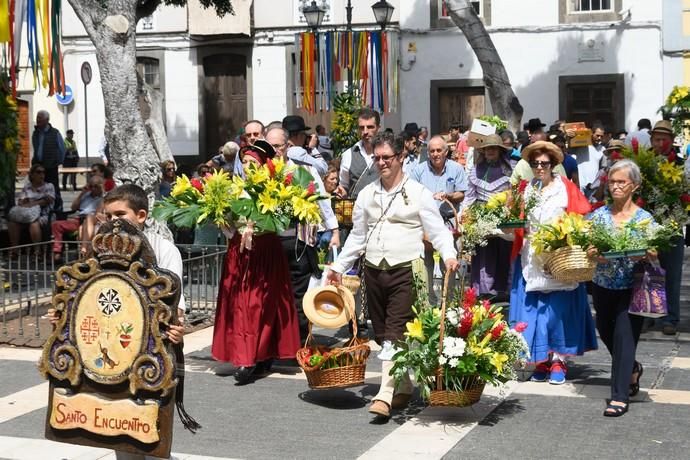 Romería del Rosario.Vegueta  | 29/09/2019 | Fotógrafo: Tony Hernández