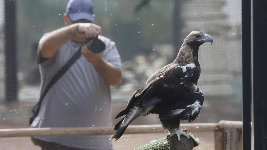 El Zoo de Córdoba reabre sus puertas tras la crisis de la gripe aviar