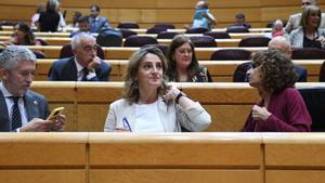 La vicepresidenta tercera y ministra para la Transición Ecológica y el Reto Demográfico, Teresa Ribera (c), durante una sesión de control al Gobierno, en el Senado, a 11 de junio de 2024, en Madrid (España).