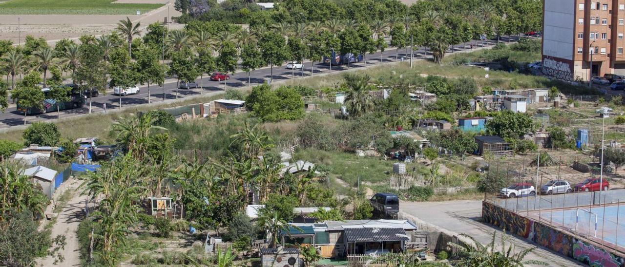 Vista panorámica de los huertos urbanos de Benimaclet. | FERNANDO BUSTAMANTE