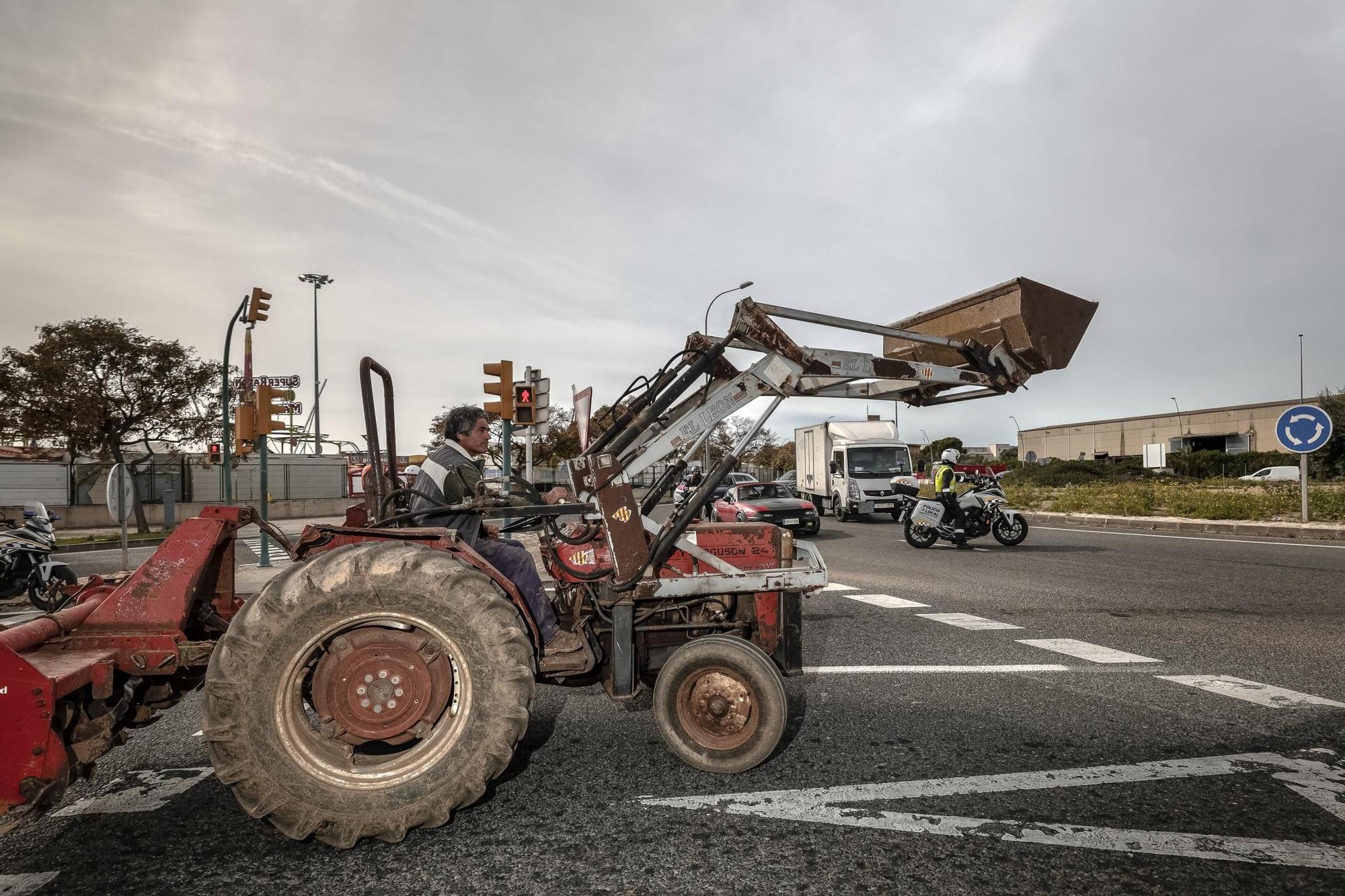 Crisis en el campo de Mallorca | La tractorada simbólica hacia la conselleria de Agricultura, en imágenes