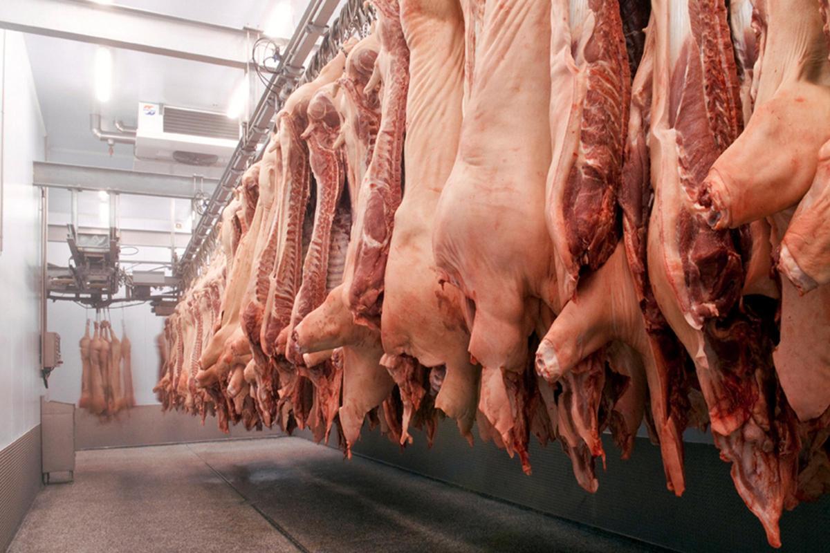 Imatge d'arxiu dun escorxador