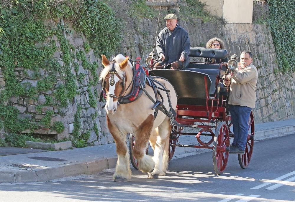 Festa de Sant Antoni de Sant Vicenç de Castellet