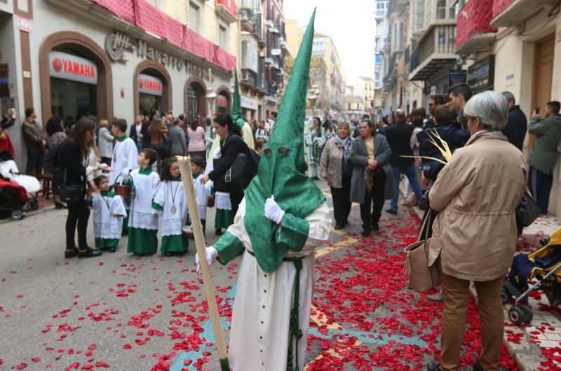 Domingo de Ramos de 2016 | Pollinica