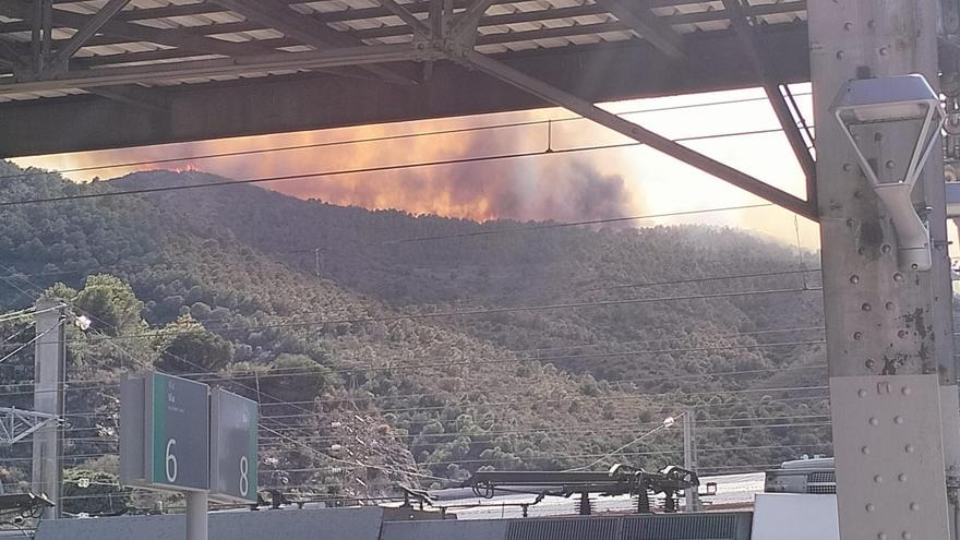 L&#039;incendi forestal de Portbou crema 150 hectàrees i obliga a confinar el municipi de Colera