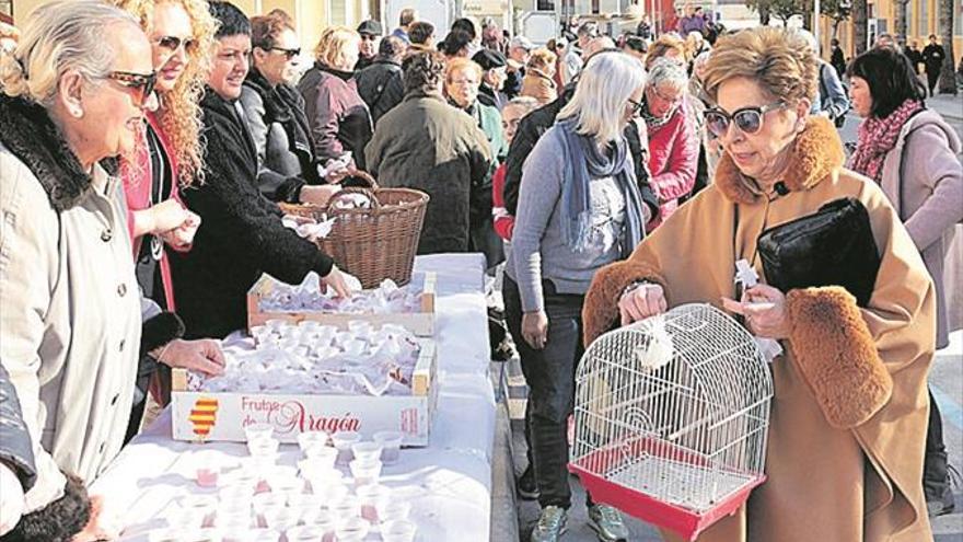 ‘Primetes’ en el día de los animales de Alcossebre