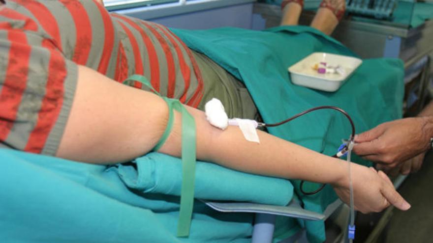 Donar sangre por amor al arte