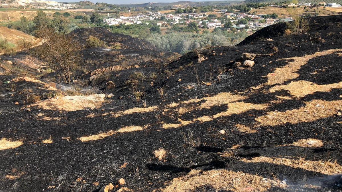 La ladera de La Pitilla de Puente Genil arde en un aparatoso incendio