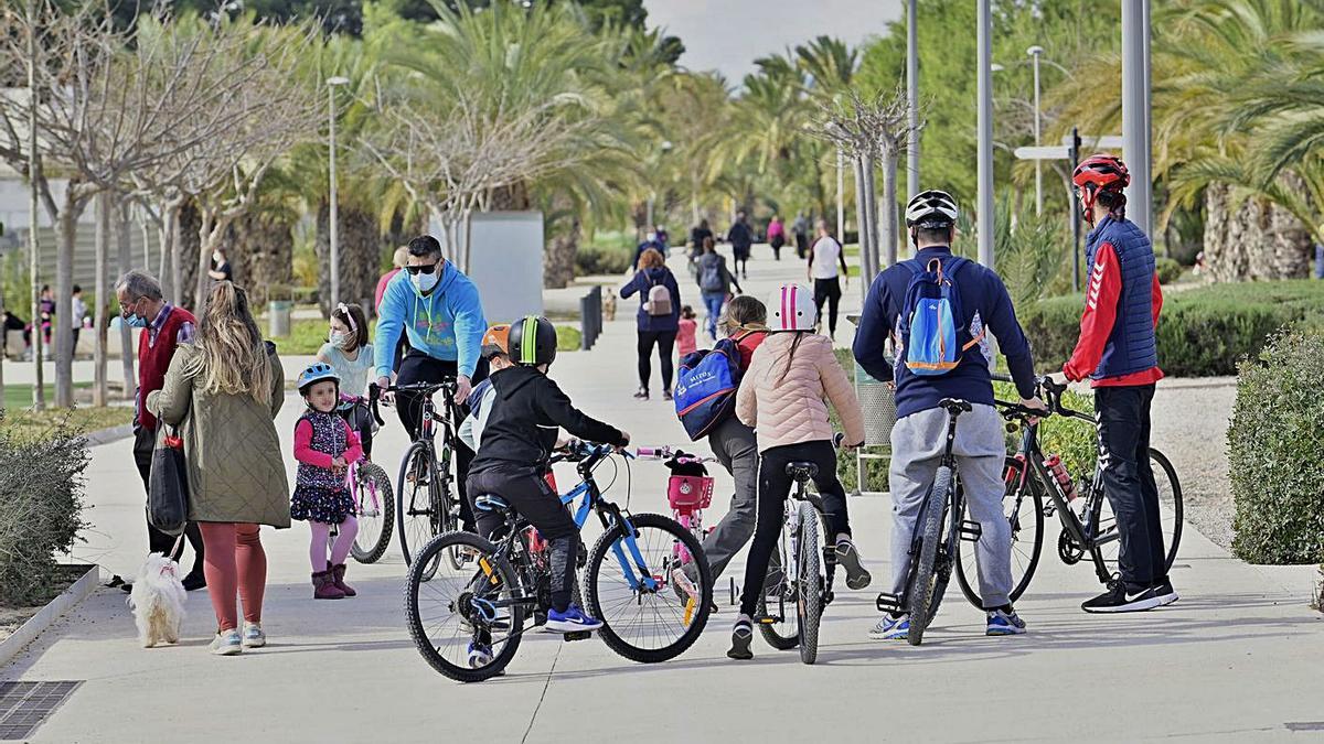 Varias personas montando en bicicleta concentradas en uno de los viales del campus ilicitano. | MATÍAS SEGARRA