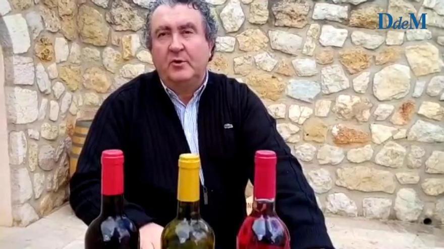 Presentación de los nuevos vinos de maceración carbónica de Macià Batle