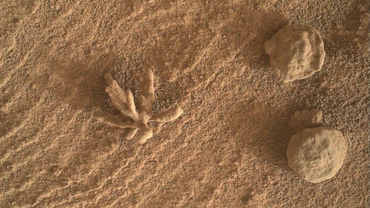 Imagen en primer plano de la extraña estructura mineral en forma de flor, obtenida mediante las cámaras del rover Curiosity en Marte.