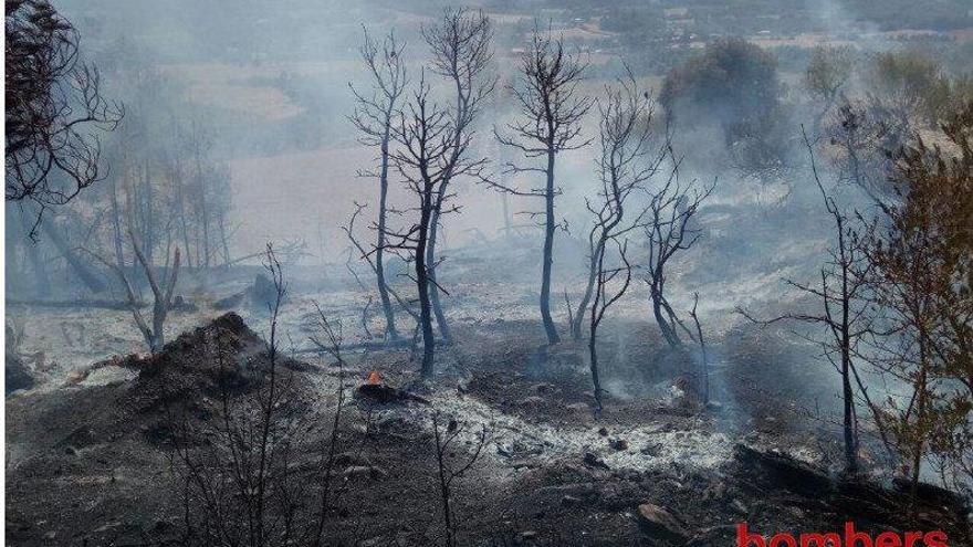 Bosc cremat per l&#039;incendi, aquest dimarts al migdia
