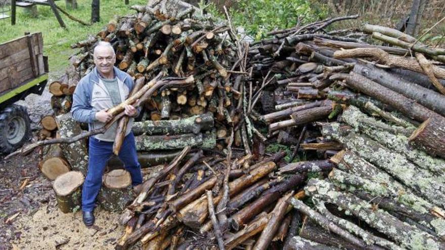 José Rodríguez, presidente de los montes de Beade, con una pila de leña para repartir.  // Marta G. Brea