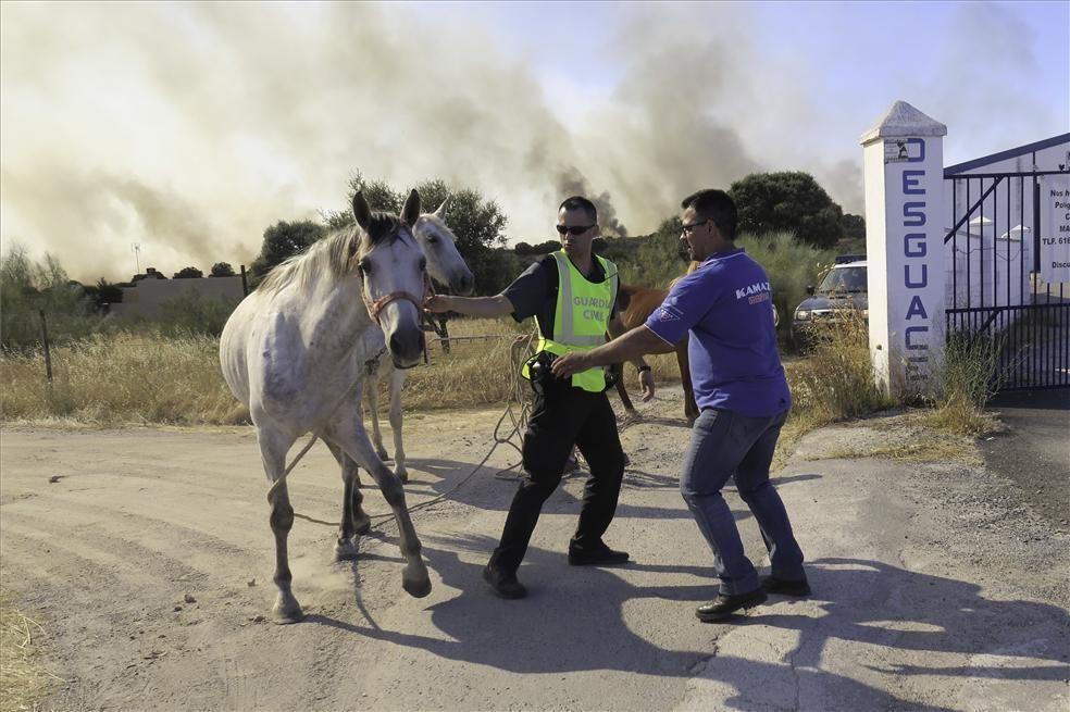 Incendio forestal en Cáceres