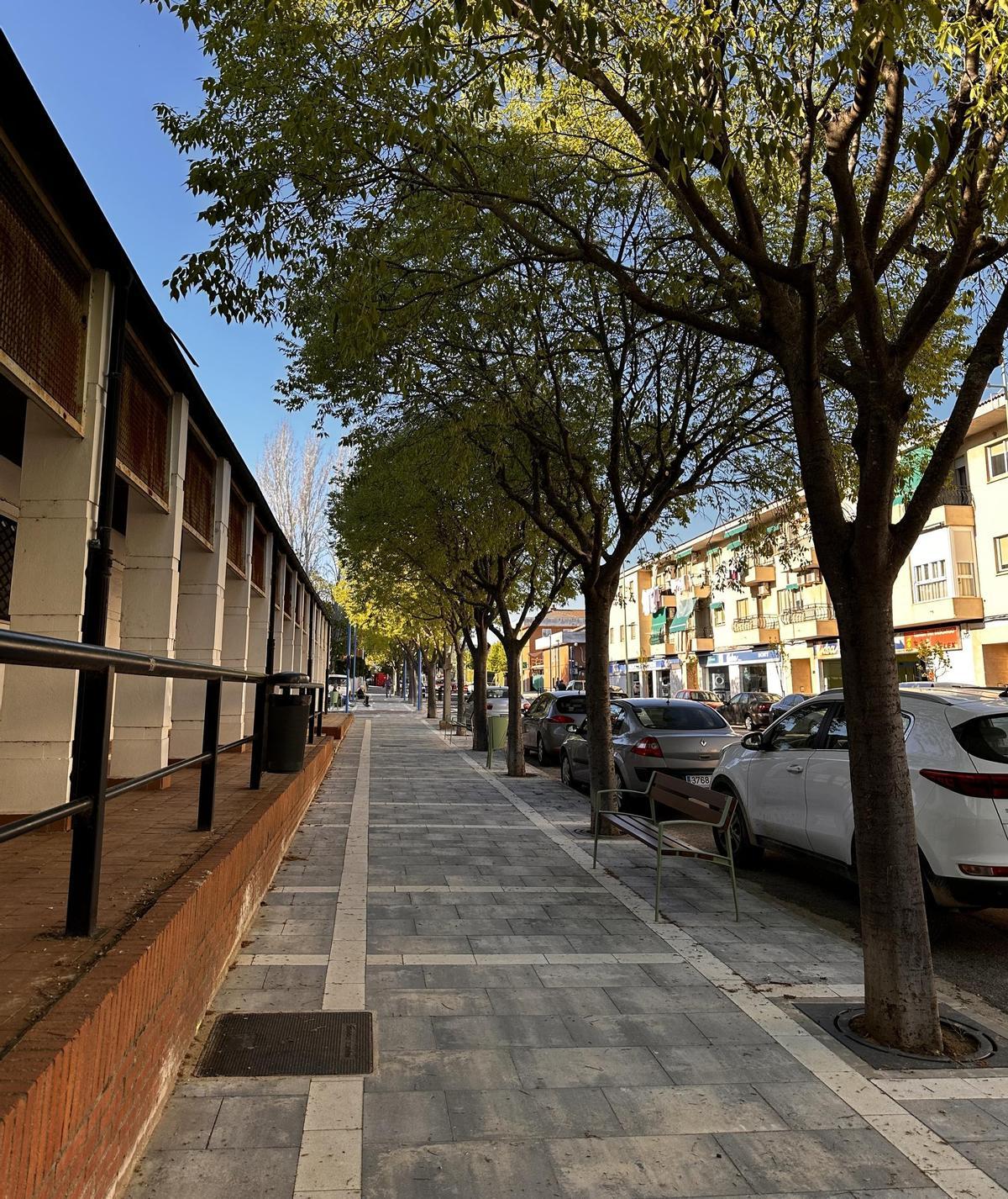 La vivienda se encuentra en Avenida Alfonso VII.