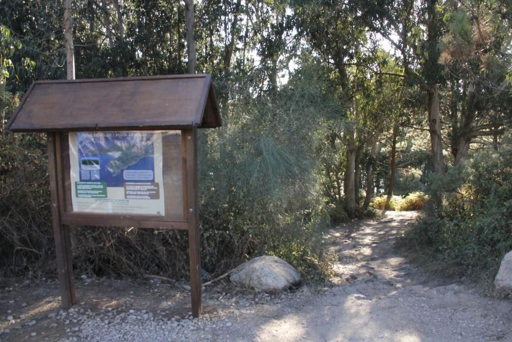 Arco Iris denuncia la pésima conservación de Costa da Vela - Asegura que es una bomba incendiaria y destaca la falta de guardas forestales y señalización adecuada