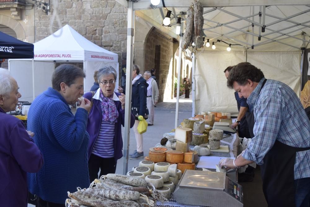 La Fira de Sant Isidre de Solsona en imatges