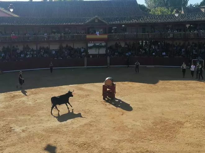 GALERÍA | Emoción y riesgo en la Fuente de Vino de Toro