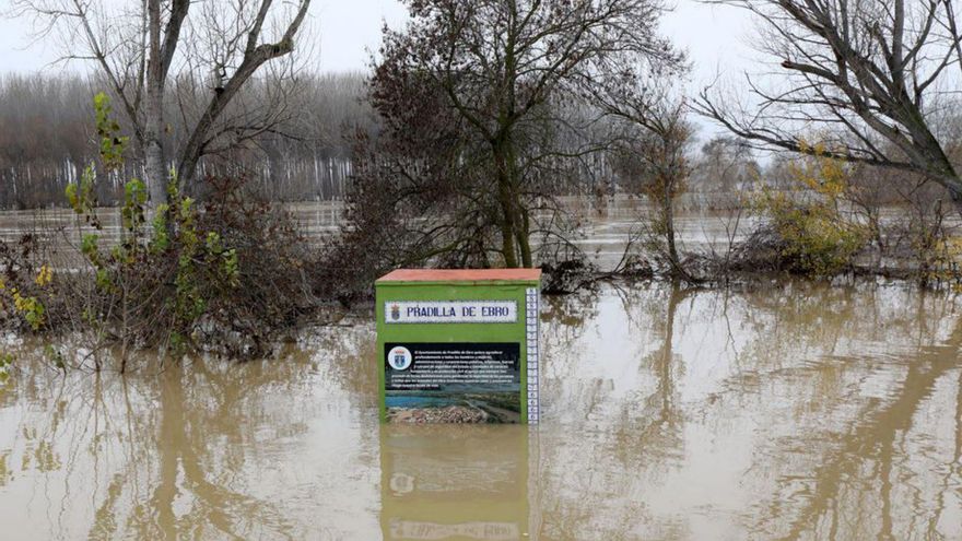 El Ebro, a su paso por Pradilla de Ebro el 14 de diciembre de 2021.