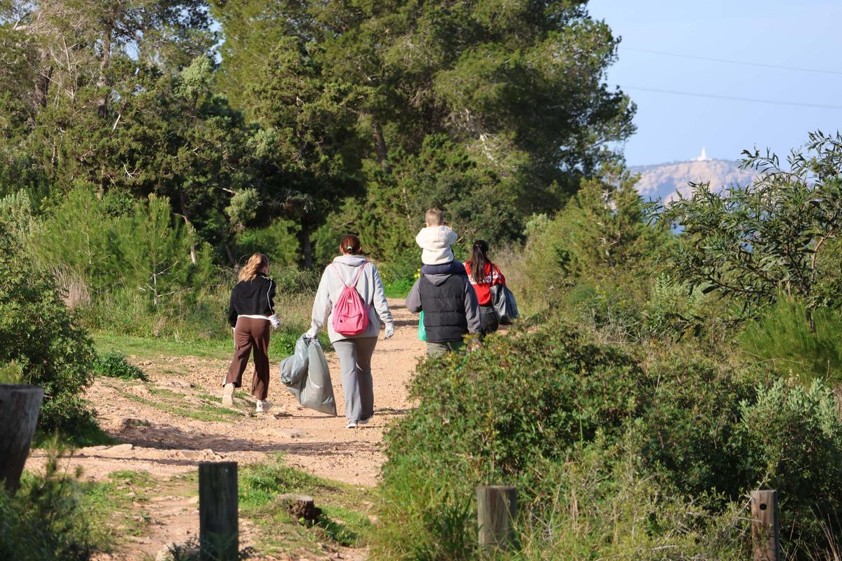 La XVII Jornada de Limpieza en Sa Talaia concluye con la recogida de 400 kilos de residuos La XVII Jornada de Limpieza en Sa Talaia concluye con la recogida de 400 kilos de residuos