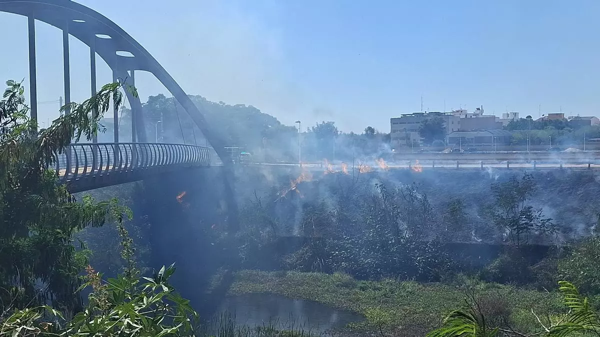 Un incendio de vegetación moviliza a los servicios de emergencia en el barranco del Carraixet